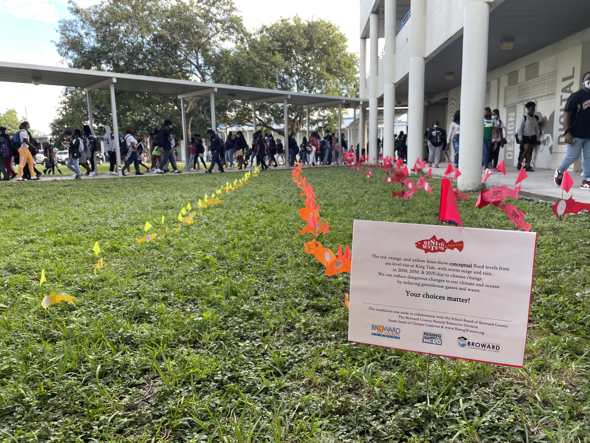 Action fish flags on lawn